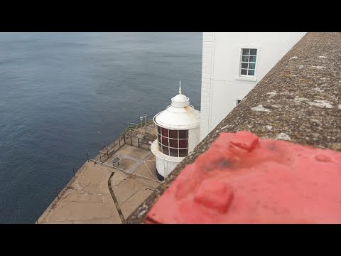 Rathlin West Lighthouse. 🦭 🌊 🐦