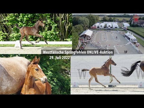 Westfälische Springfohlen ONLIVE-Auktion 29. Juli 2022 Trailer