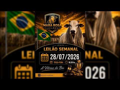 MARA ROSA LEILÕES - GOIÁS - LEILÃO DE GADO DE CORTE 28/07/2026