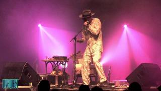 SON OF DAVE-shake a bone (LIVEQUEST #40)