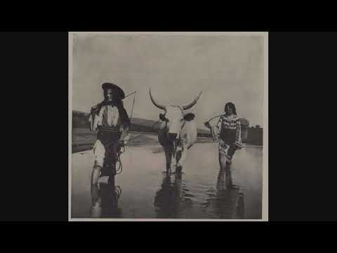 'Tropotita de pa Iza' '(Dance from Iza Village'). Ștefan Petreuș. Romanian Folk Music.