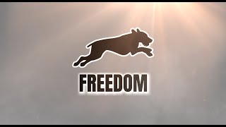 Download lagu Freedom - RunDownRiver mp3 Download lagu Freedom - RunDownRiver mp3