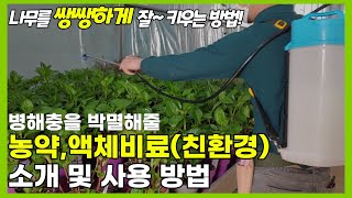 나무를 쌩쌩하게 만들어 줄 농약 및 액체비료 소개(친환경 액체비료 불쑥이)