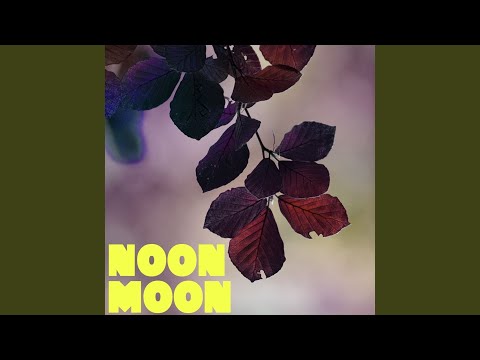 Noon Moon