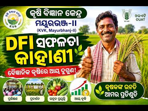 DFI Success Story Video