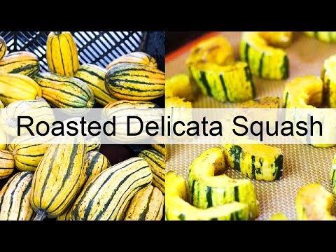 download lagu mp3 mp4 Buy Delicata Squash Online, download lagu Buy Delicata Squash Online gratis, unduh video klip Buy Delicata Squash Online