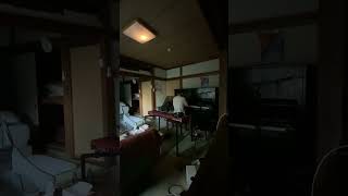 dogdog / 弾き語り(Acoustic Performance)