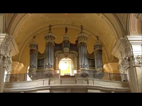 Concert la Basilica Maria Radna - 2 august 2018