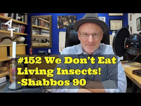 🛎 AT Daily! 152- 🐞 We Don’t Eat Living Insects! 🕯🕯 Shabbos 90