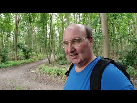 MongoTV_5072 - GÅTUR I SKOVEN FREDERIKSDAL JULI 2020