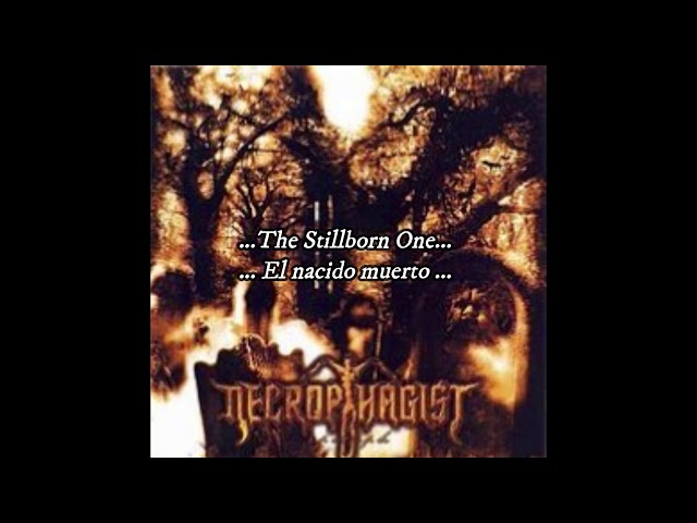 Vídeo relacionado con Necrophagist The Stillborn One Men Black T-Shirt Print Unisex Cotton tee Shirt L