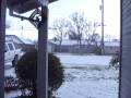 Monster Hail 1