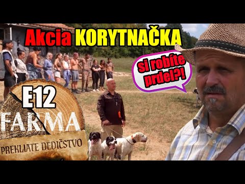 Farma 17 E12 | Stratená korytnačka a návrat Mišky – chaos na farme!