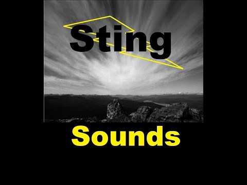 Dramatic Sting Sound Effects All Sounds