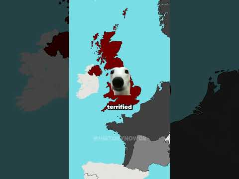 How The World Reacted To Operation Barbarossa