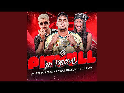 Os Pitbull do Pascoal