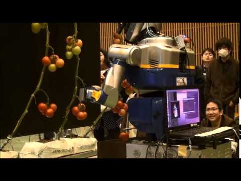 総合システム工学科 トマトロボット競技会【ファイナルステージ前半】