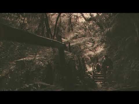 Video thumbnail for When We Were Young