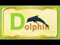 Multipedia Of Animals Letter D Dolphin