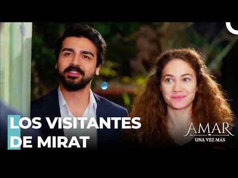 Tiempo De Reencuentro - Amar Una Vez Más