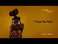 Little Simz - Fear No Man (Official Audio)