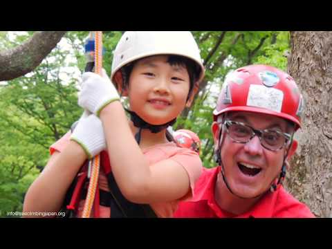 動画 | tree climbing japan