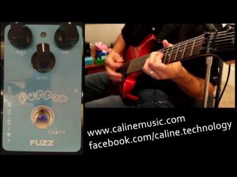 Caline Puffer Fuzz Pedal 9 & 18 V | Reverb