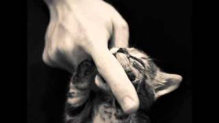 Trademark - I Could Live On Loving You