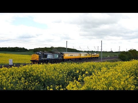 DRS 37425 gives it large past Ayres End - 1Q05