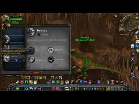 Unique Pet Hunt: Nychus