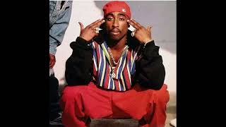 2Pac - Souljah&#39;s Revenge [remix]