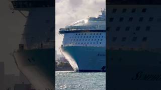 Symphony of the Seas 🛳️ #like #share #comment #subscribe #cruiseship #cruise #vacation #shorts #yt
