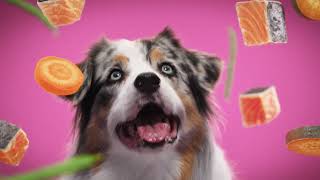 Purina Beneful Kick Boring in the Bowl: Healthy Dog Food Makes Every Meal Exciting (2026)