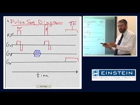 Introducing MRI: The Spin Echo Pulse Sequence (31 of 56)