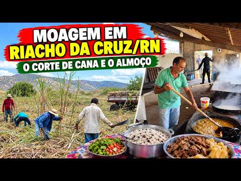 MOAGEM, CORTE DE CANA E ALMOÇO, A RAPADURA DE RIACHO DA CRUZ/RN, ENGENHO SANTANA, SÍTIO POÇO VERDE.