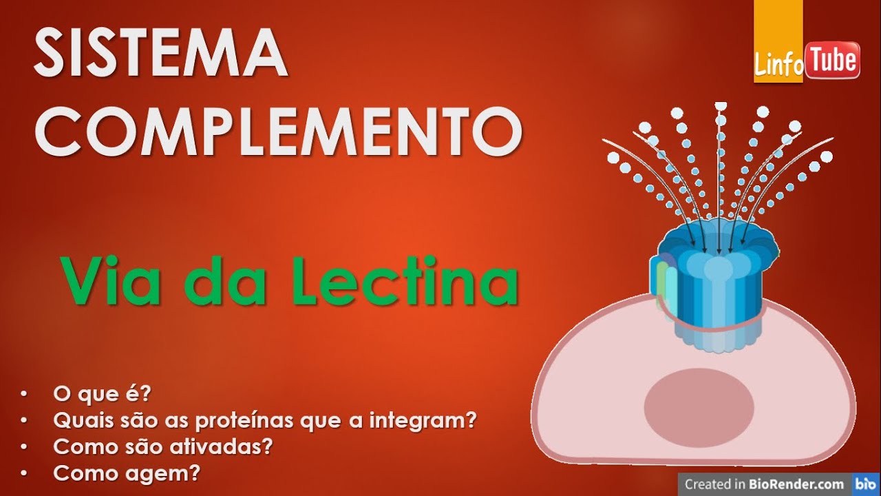 Sistema Complemento - Via da Lectina ligadora de manose