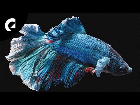 Van Sandano - Amalthea (Ambient Synt Music) (Royalty Free Music)