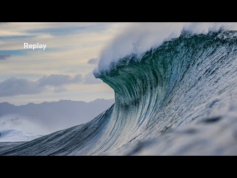 Morning Show: Da Hui Backdoor Shootout in Memory of Duke