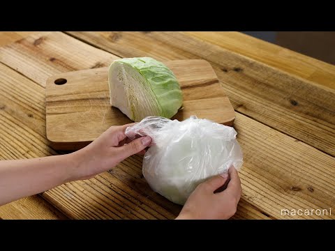 白キャベツの保存: キャベツはどのようにして長持ちしますか? 植物