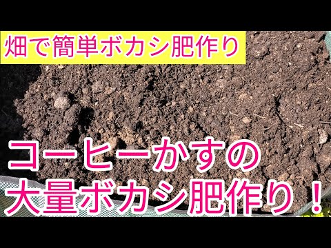 ラズベリー用のコーヒー粕：思い切って肥料に！それを最大限に活用するにはどうすればよいでしょうか?  庭園