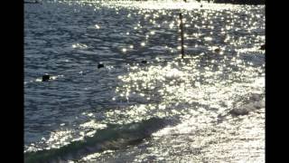 Titanium / Pavane (Piano/Cello Cover) - David Guetta / Faure - ThePianoGuys