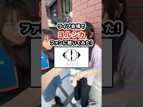ファンの一番好きな曲は?【ヨルシカ】#shorts #ヨルシカ #ライブインタビュー #キョウユウロク #響遊録