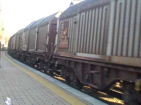 E 655.430 CON MERCI CARRI SHIMMNS