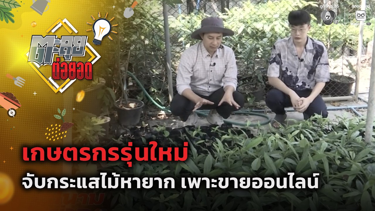 เกษตรกรรุ่นใหม่ จับกระแสไม้หายาก เพาะขายออนไลน์ | 