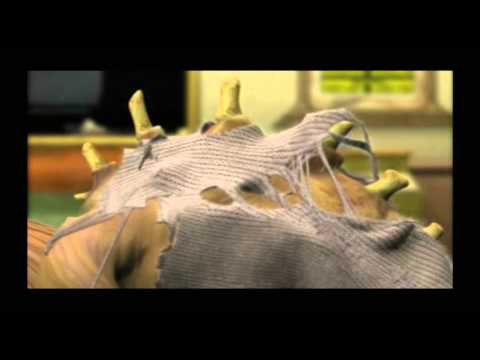 Parasite Eve 2 ( Transformation )