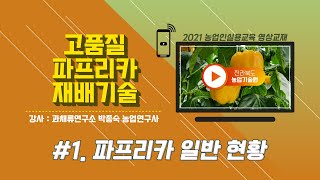 [고품질 파프리카 재배기술] part 1. 파프리카 일반 현황