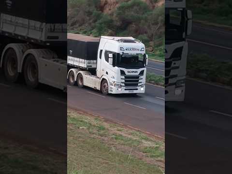 SCANIA TOP NO CONTORNO DE MARIALVA PR