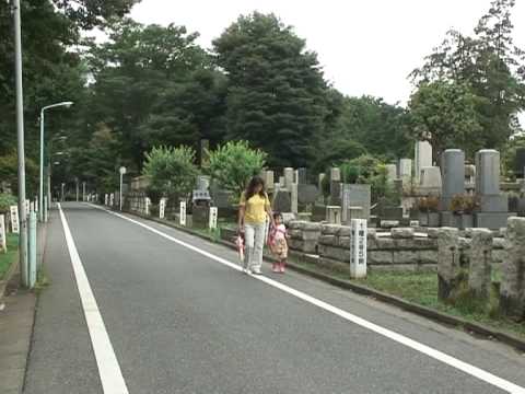 Cemitérios, o novo lugar para se estar no Japão