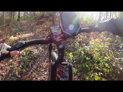 schwinn taff comp ebike on a trail in the woods bbs02 750w