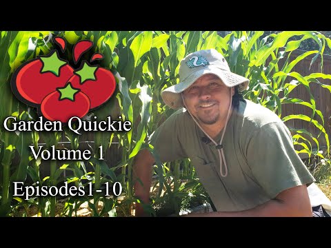 Garden Quickies Volume 1 Episodes 1 to 10